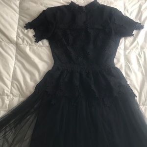 Gothic lace and sheer dress